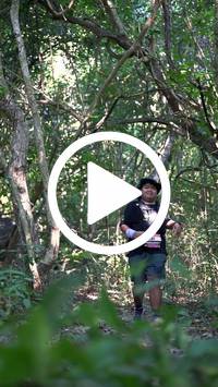 BIB:  <button type="button" onclick="openModal(28063757)" class="btn btn-primary btn-sm float-right" data-toggle="modal" data-target=".modal-high-quality">
                <i class="fa fa-download"></i> Download
                </button>